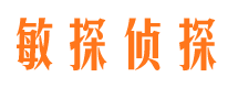 九龙侦探公司